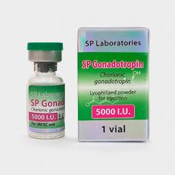 SP Gonadotropin 5000 IU - Human Chorionic Gonadotropin - SP Laboratories
