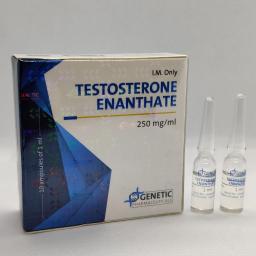 Testosterone Enanthate - Testosterone Enanthate - Genetic Pharmaceuticals